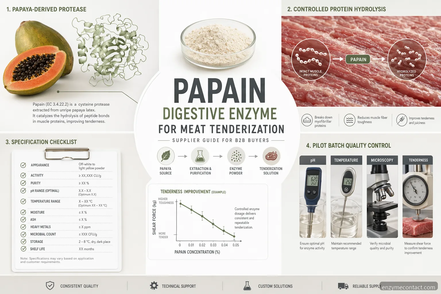 papain digestive enzyme supplier guide for meat tenderization, showing papaya protease, meat fibers, specs and QC icons