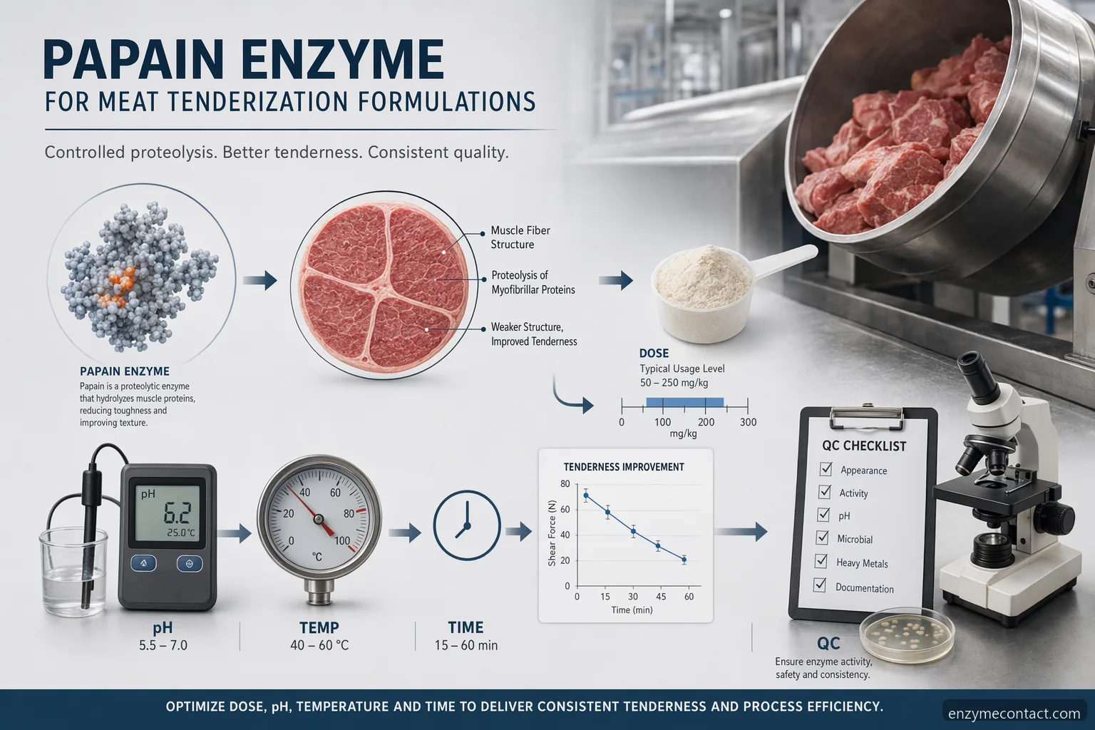 papain enzyme guide til mørning af kød med dosering, pH, temperatur, formulering og QC-tjek